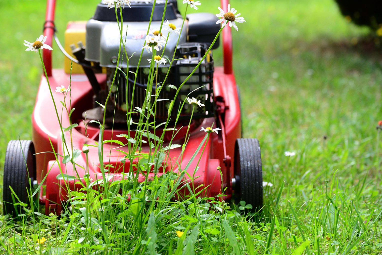 lawn-mower-5329533